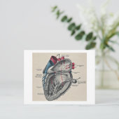 Vintage Art Anatomical Heart Diagram - science Briefkaart (Staand voorkant)