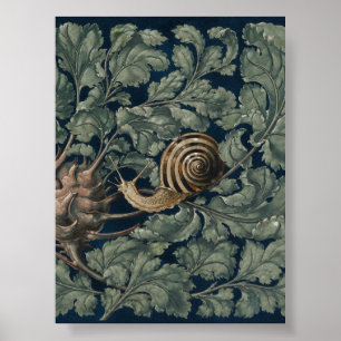 Vintage Art Nouveau botanische slak antiek Poster