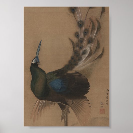 Vintage Asian Peacock Art Print (Voorkant)
