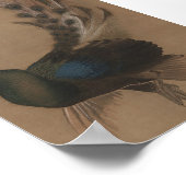 Vintage Asian Peacock Art Print (Hoek)