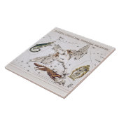 Vintage Astronomical Map of Lacerta, Cygnus, Lyra Tegeltje (Zijkant)