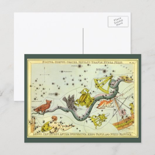 Vintage astronomie, Hydra Snake Constellation Star Briefkaart (Voorkant / Achterkant)