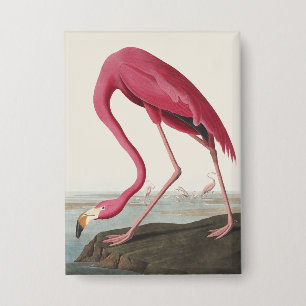 Vintage Audubon Amerikaanse Flamingo Roze Vogel Ku Button