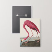 Vintage Audubon Amerikaanse Flamingo Roze Vogel Ku Button (Voorkant / Achterkant)