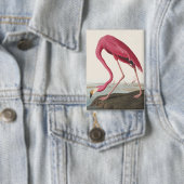 Vintage Audubon Amerikaanse Flamingo Roze Vogel Ku Button (Insitu)