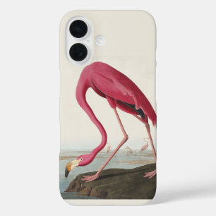 Vintage Audubon Amerikaanse Flamingo Roze Vogel Ku iPhone 16 Hoesje