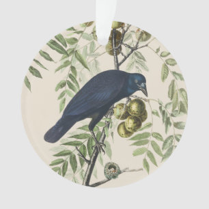 Vintage Audubon Amerikaanse Kraai Vogel Natuur Kun Ornament