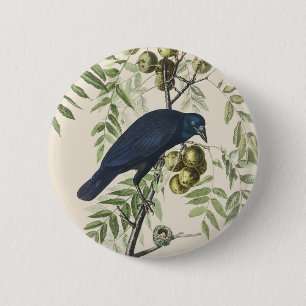 Vintage Audubon Amerikaanse Kraai Vogel Natuur Kun Ronde Button 5,7 Cm