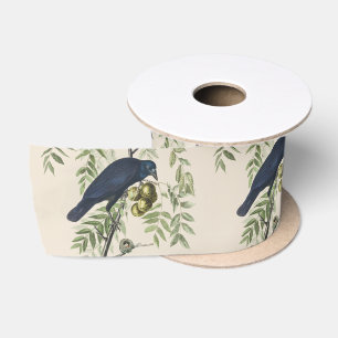 Vintage Audubon Amerikaanse Kraai Vogel Natuur Kun Satijnen Lint
