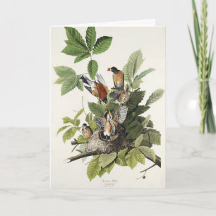 Vintage Audubon Amerikaanse Roodborst Vogel Nest K Feestdagen Kaart
