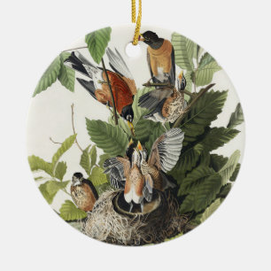 Vintage Audubon Amerikaanse Roodborst Vogel Nest K Keramisch Ornament