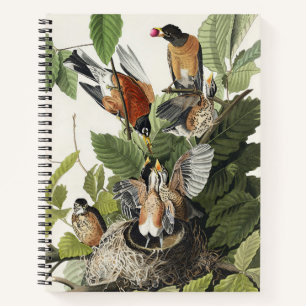 Vintage Audubon Amerikaanse Roodborst Vogel Nest K Notitieboek