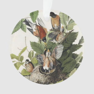 Vintage Audubon Amerikaanse Roodborst Vogel Nest K Ornament