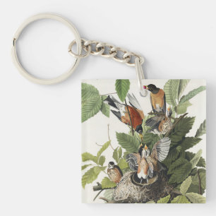 Vintage Audubon Amerikaanse Roodborst Vogel Nest K Sleutelhanger