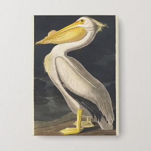 Vintage Audubon Amerikaanse Witte Pelikaan Vogelku Button