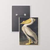 Vintage Audubon Amerikaanse Witte Pelikaan Vogelku Button (Voorkant / Achterkant)