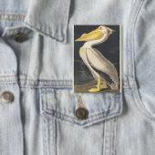 Vintage Audubon Amerikaanse Witte Pelikaan Vogelku Button (Insitu)