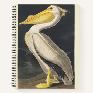Vintage Audubon Amerikaanse Witte Pelikaan Vogelku Notitieboek