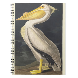 Vintage Audubon Amerikaanse Witte Pelikaan Vogelku Notitieboek