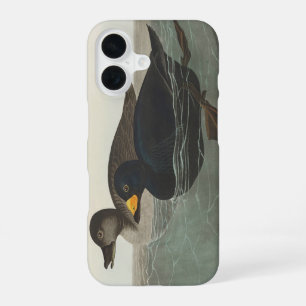 Vintage Audubon Amerikaanse Zwarte Eend Vogelkunst iPhone 16 Hoesje