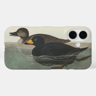 Vintage Audubon Amerikaanse Zwarte Zee-eend Eend V iPhone 16 Hoesje