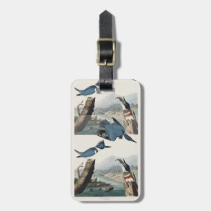 Vintage Audubon Bandijsvogel Vogel Kunst Bagagelabel