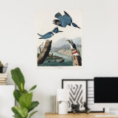Vintage Audubon Bandijsvogel Vogel Kunst Poster (Thuiskantoor)