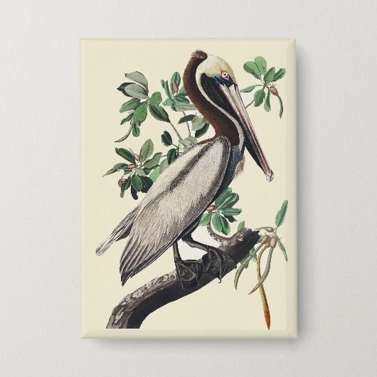 Vintage Audubon bruine pelikaan kustvogel kunst Button (Voorkant)
