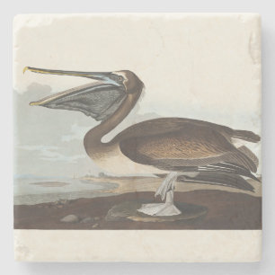 Vintage Audubon bruine pelikaan kustvogel kunst Stenen Onderzetter