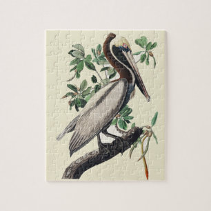 Vintage Audubon Bruine Pelikaan Kustvogelkunst Legpuzzel