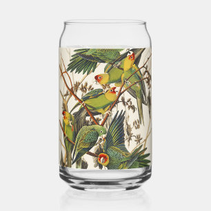 Vintage Audubon Carolina Parkiet Vogel Kunst Blikvorm Glas