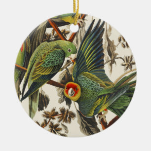 Vintage Audubon Carolina Parkiet Vogel Kunst Keramisch Ornament