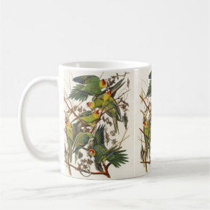 Vintage Audubon Carolina Parkiet Vogel Kunst Koffiemok