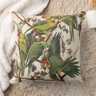 Vintage Audubon Carolina Parkiet Vogel Kunst Kussen