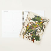 Vintage Audubon Carolina Parkiet Vogel Kunst Planner (Display)