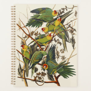 Vintage Audubon Carolina Parkiet Vogel Kunst Planner