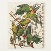 Vintage Audubon Carolina Parkiet Vogel Kunst Planner (Achterkant)