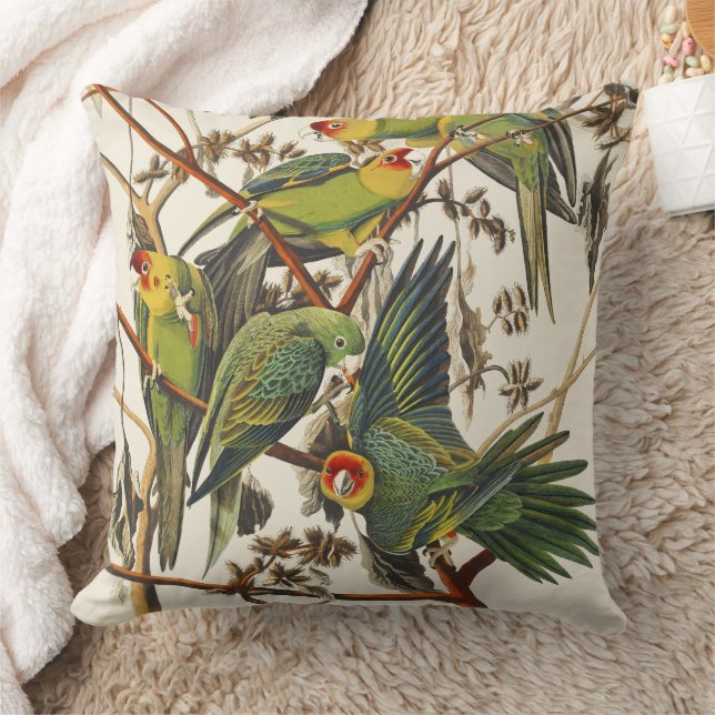 Vintage Audubon Carolina Parkiet Vogelkunst Kussen (Deken)