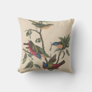 Vintage Audubon Geschilderde Bontje Kleurrijke Vog Kussen