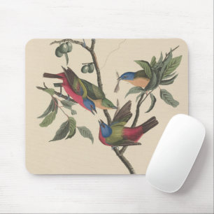 Vintage Audubon Geschilderde Bontvogel Kleurrijke Muismat