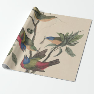 Vintage Audubon Geschilderde Gors Kleurrijke Vogel Cadeaupapier