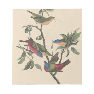 Vintage Audubon Geschilderde Gors Kleurrijke Vogel Notitieblok
