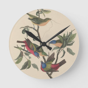 Vintage Audubon Geschilderde Gors Kleurrijke Vogel Ronde Klok