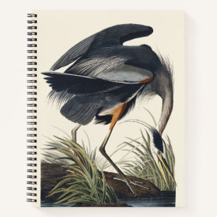 Vintage Audubon Grote Blauwe Reiger Vogel Natuur K Notitieboek