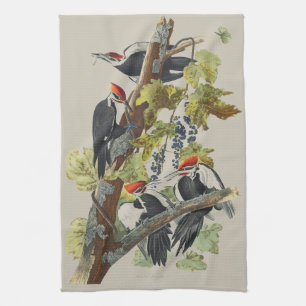 Vintage Audubon Grote Specht Vogelkunst Theedoek