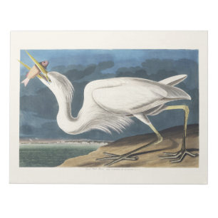 Vintage Audubon Grote Witte Reiger Vogelkunst Notitieblok