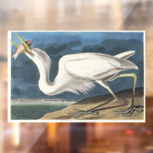 Vintage Audubon Grote Witte Reiger Vogelkunst Raamsticker