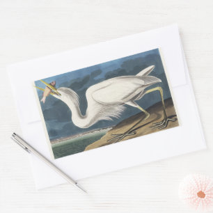 Vintage Audubon Grote Witte Reiger Vogelkunst Rechthoekige Sticker