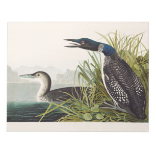 Vintage Audubon Grote Zaagbek Natuur Kunst Notitieblok