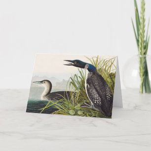 Vintage Audubon-illustratie van de ijsduiker in de Bedankkaart
